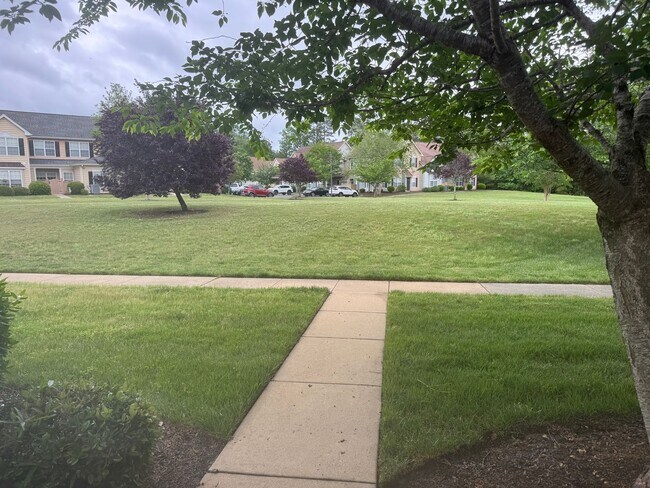 Photo - Braemar Creek