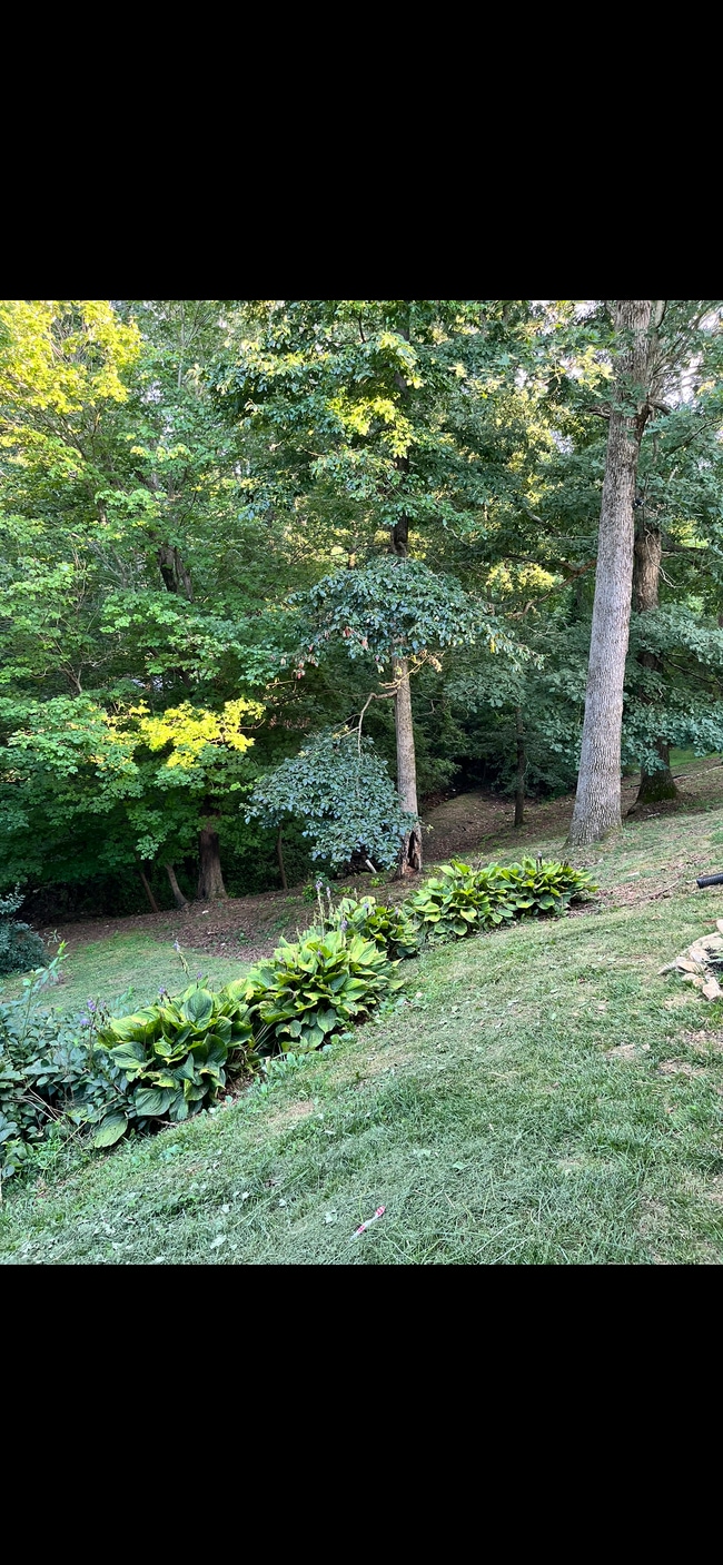 Your Backyard - 12 Stone House Rd