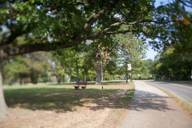 Photo - Marina Park Apartments