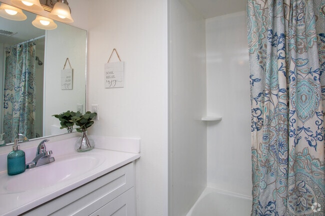 Studio-253SF - Altera 3100