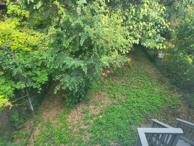 Patio interior - 138 S 10th St Unidad 1