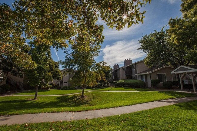 Laurel Grove