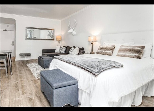 Photo - Downtown! Gorgeous Main Floor Furnished Studio