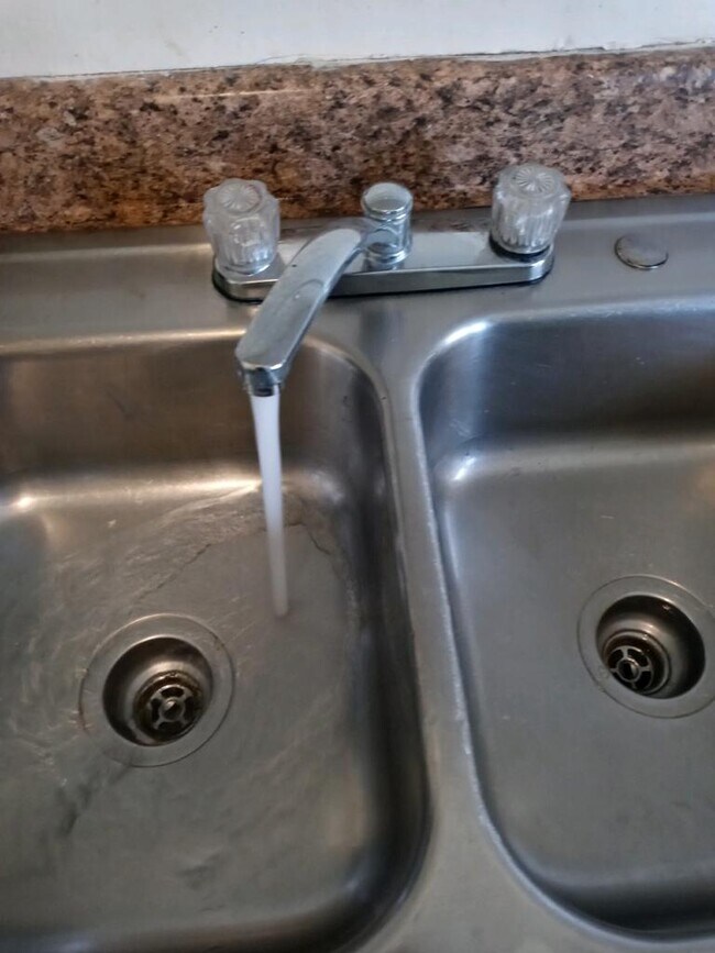Double kitchen sink
