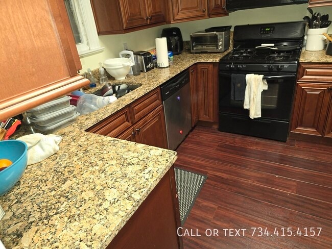 Photo - 707 S Division St Unit Giant House