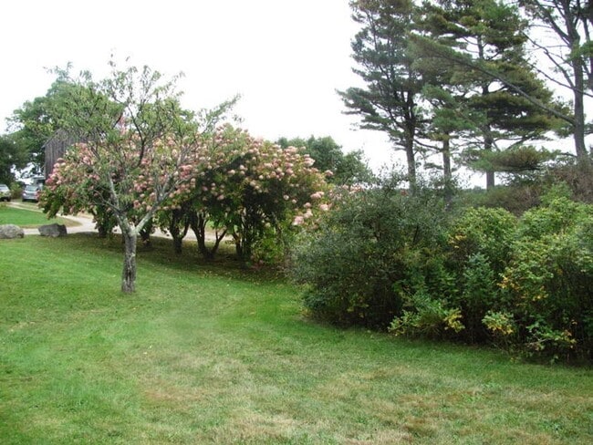 Photo - 2BR WATERFRONT OASIS RETREAT Webb Field Rd