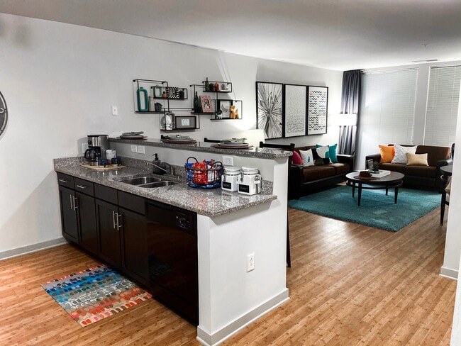 Photo - The Varsity Maryland