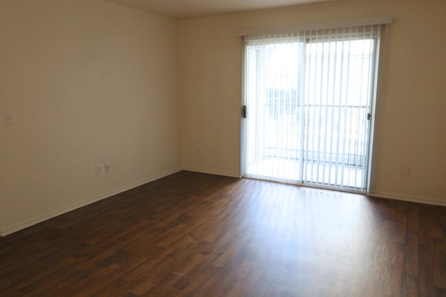 Photo - Sycamore Walk