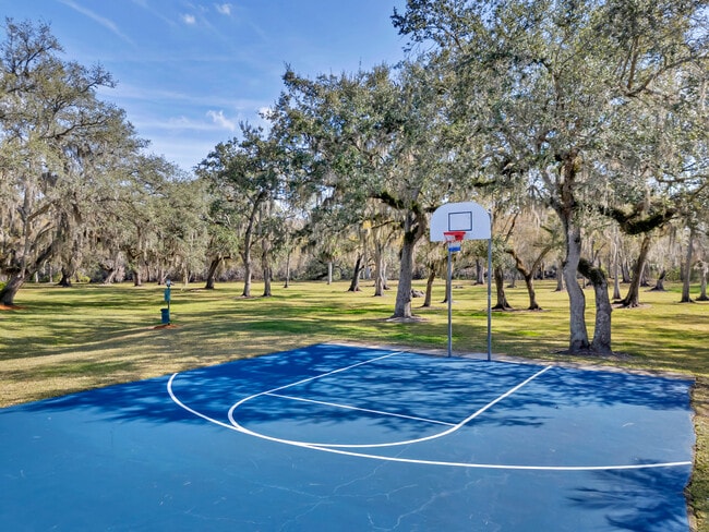 Basketball Court