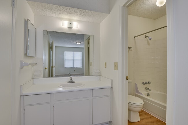 Vanity & Bathroom - Woodwinds Apartments