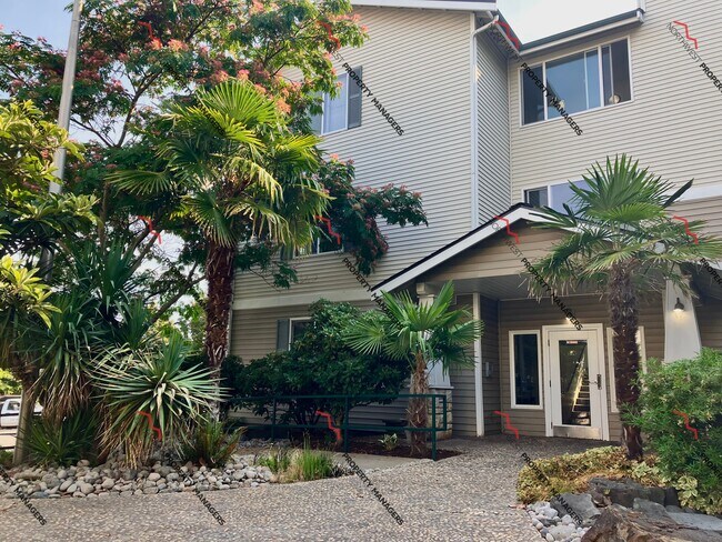 Photo - Oasis Apartments