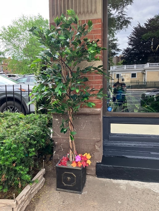 Photo - Capitol Living Apartments