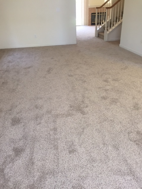 Photo - 8022 Mammoth Dr