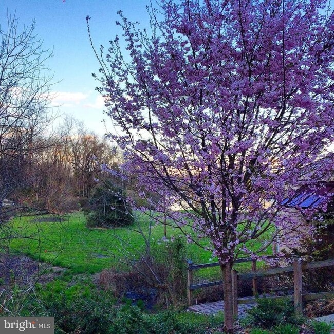 Building Photo - 85 Valley Rd Unit 1