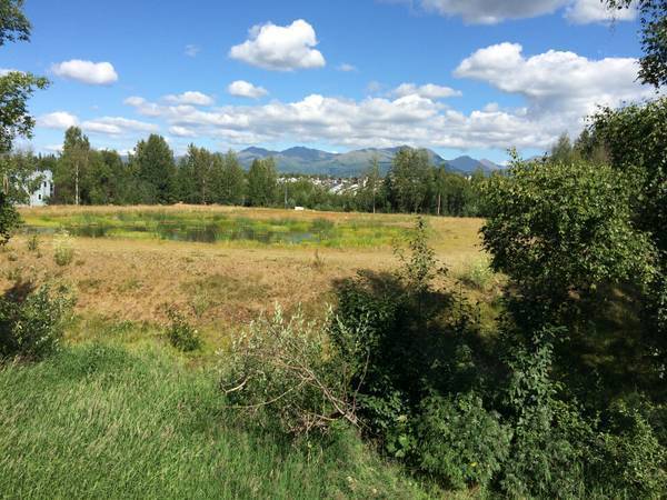 Photo - South Anchorage Quiet upstairs 2bedroom wi...