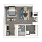 Studio G - 475 sq ft, with walk-in closet