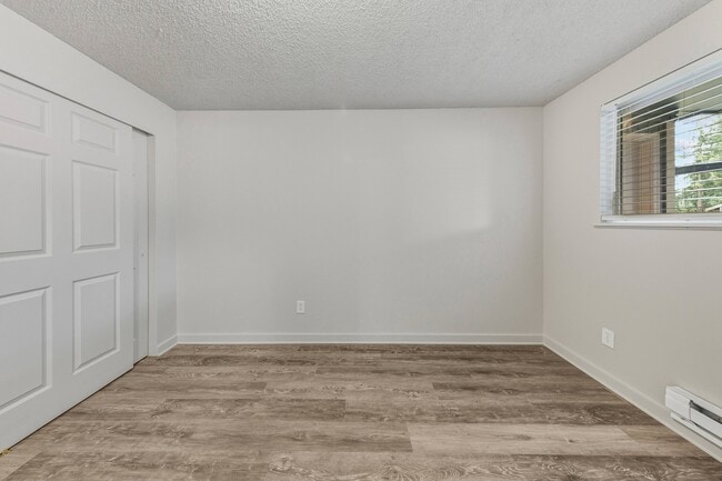 Photo - Whispering Firs