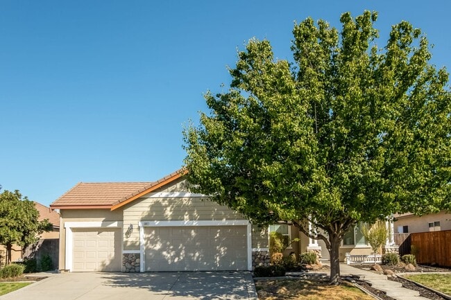 1337 Golden Plover St - 1337 Golden Plover St House