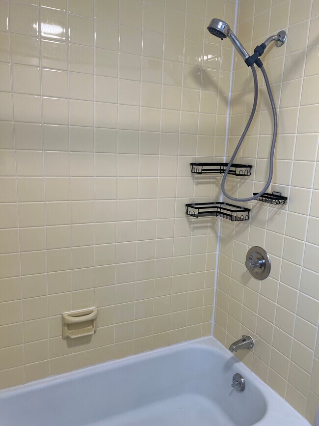 Bathroom - 249 Davison Rd Unit 7