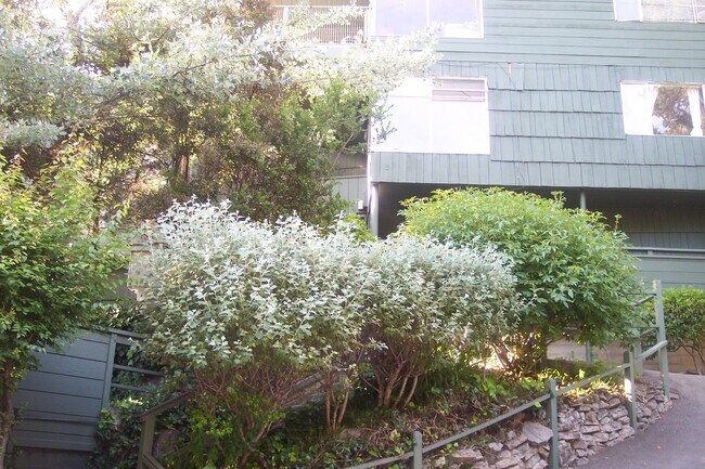 Photo - Contemporary North Berkeley 2 Bedroom Condominium