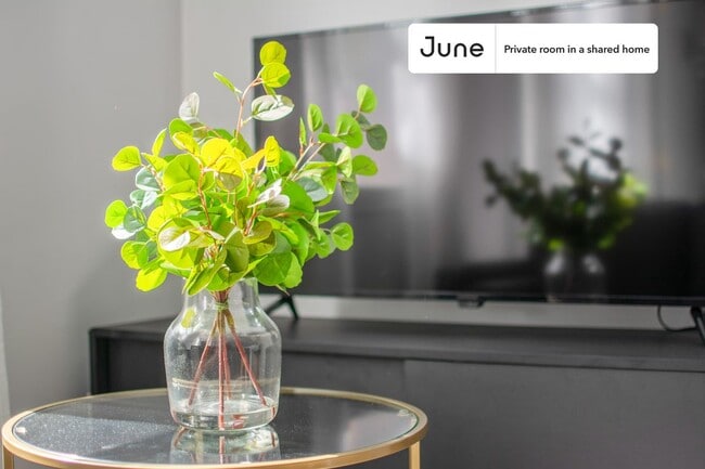 Photo - Room in Shared 3 bed/1 bath home Unidad A