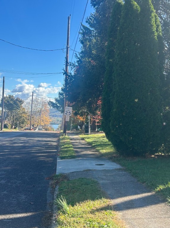 Photo - 536 Lansvale St