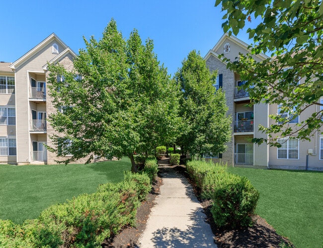 0o7a7350 - New Hampshire Commons