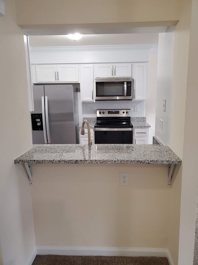 Garden Apartment Kitchen