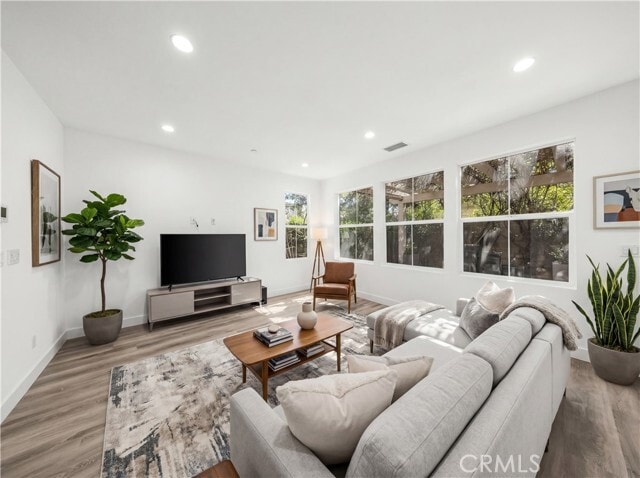 Photo - 83 Waterleaf