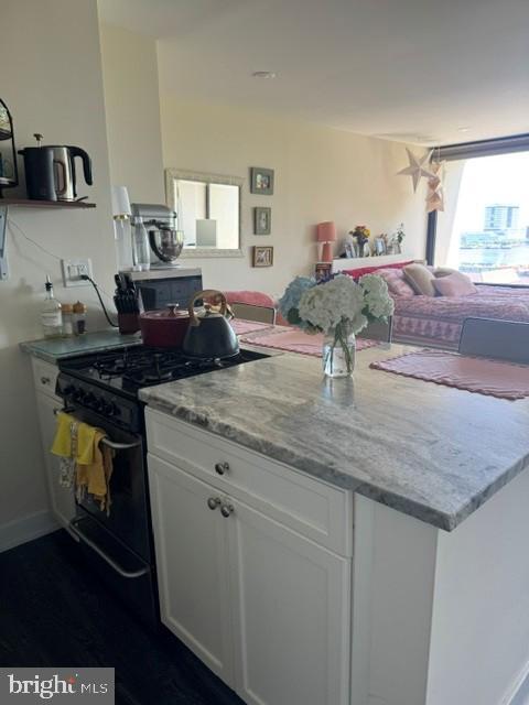200 Locust St Unit 6EN