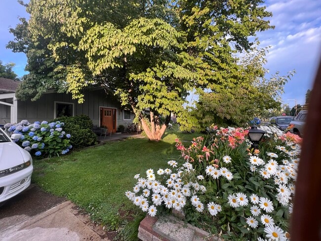 Photo - 1709 Avalon Pl