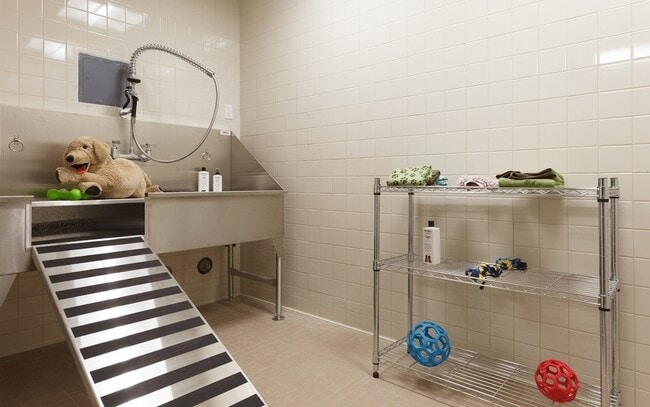 Photo - 22 Caton Place