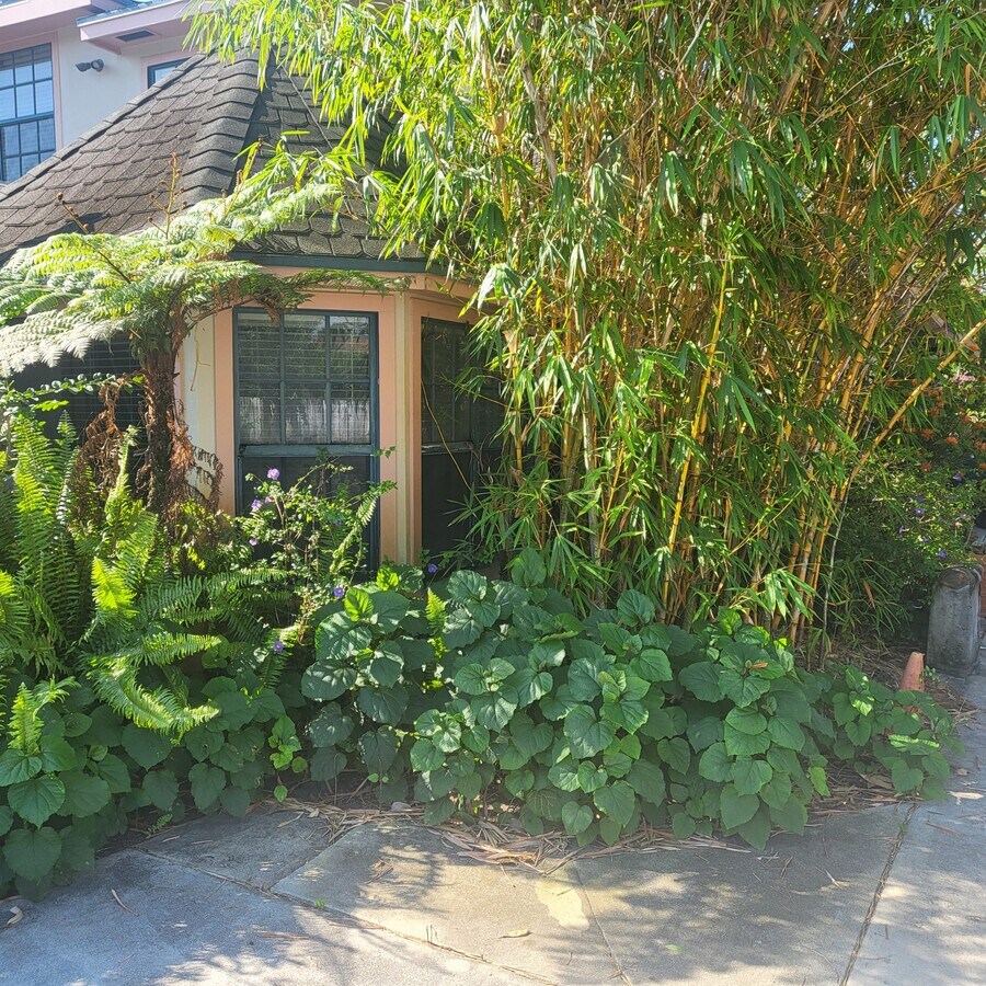 Photo - 4884 Bonanza Ct