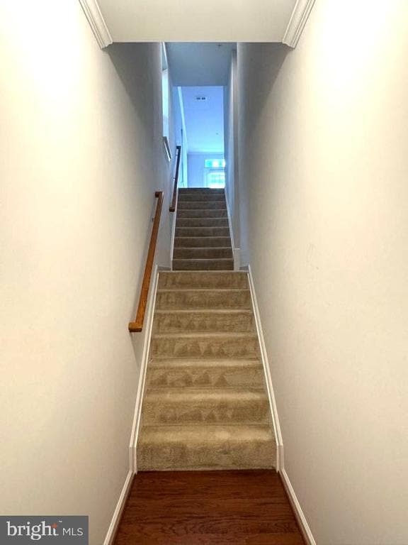 Photo - 4812 Dane Ridge Cir
