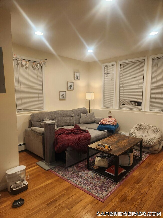 Building Photo - 20 Magoun St