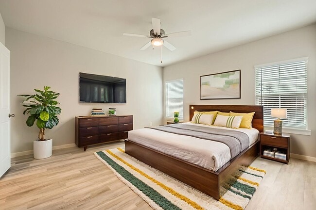 Photo - A1- Albany Plan