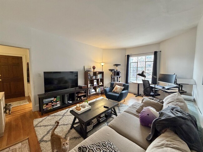 Photo - 21 Ellery St Unidad 4