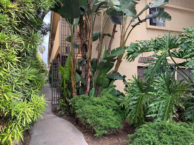 Photo - 1047 2nd St.