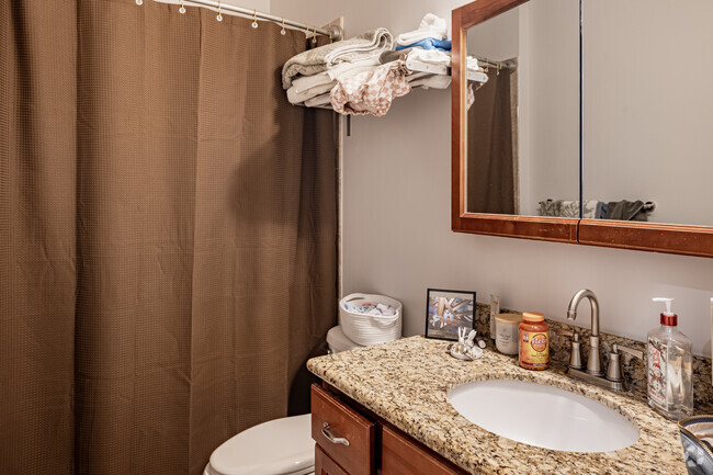 3BR, 2BA - 1,400SF - Primary Bathroom - 3341-3343 N CLARK CONDOMINIUM ASSOCIATION