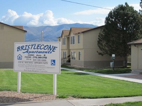 Bristlecone Apartments - Bristlecone Apartments
