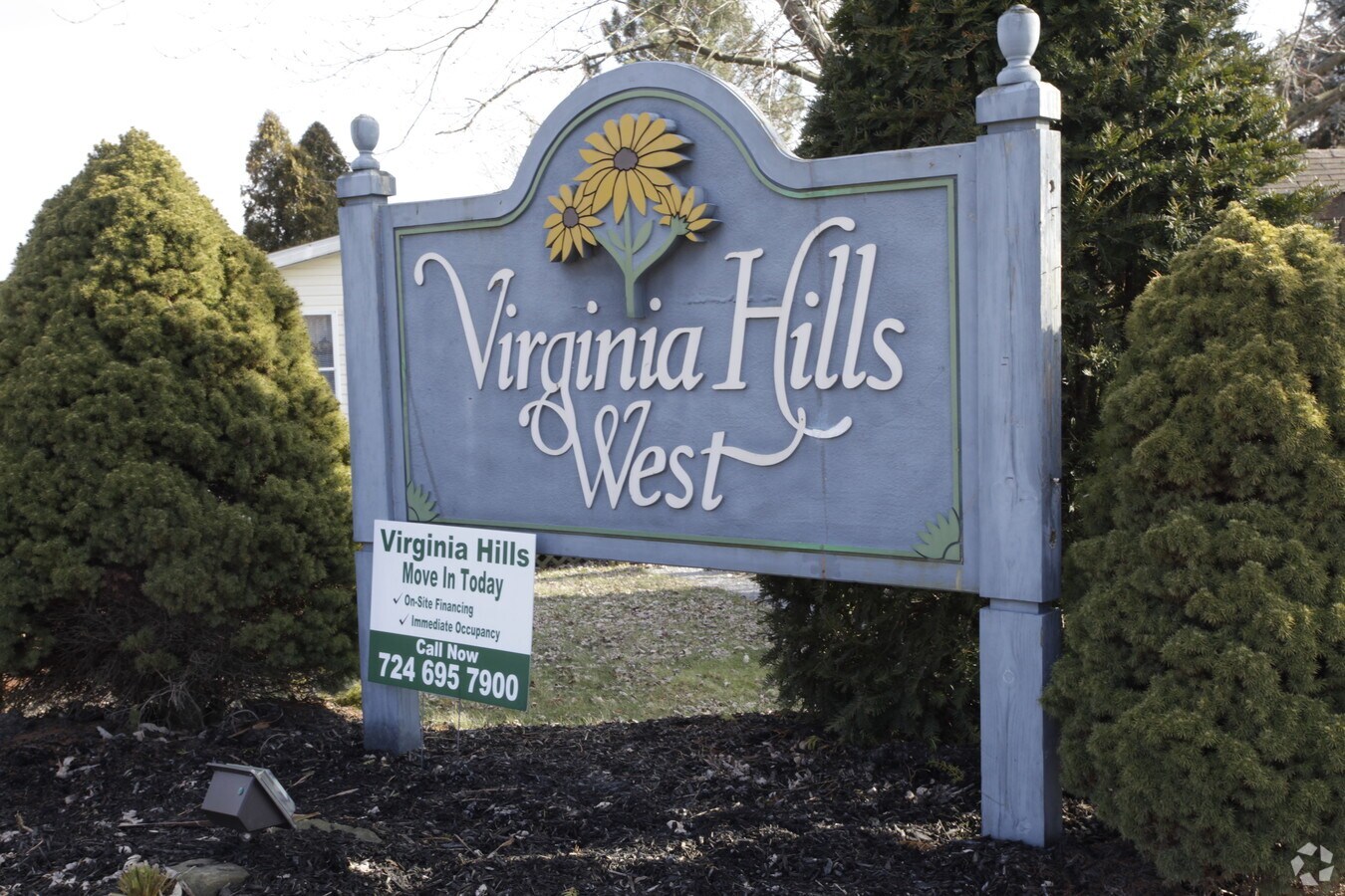 Photo - Virginia Hills