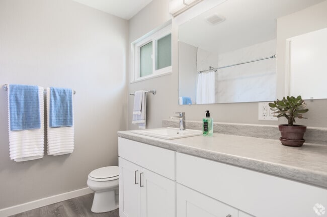 1BR, 1BA - 560SF - Brio Apartments