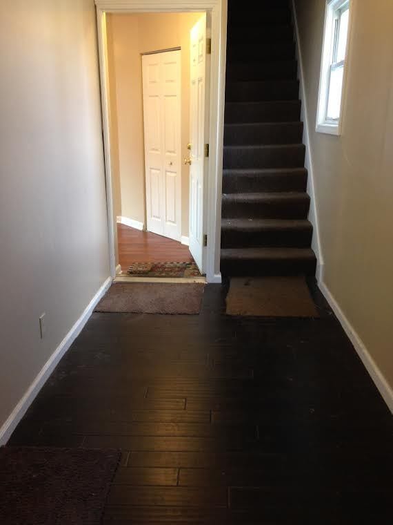 Photo - Spring Unidad 1