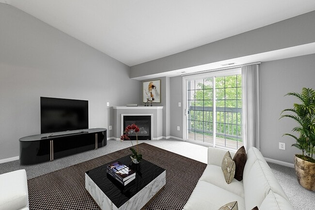 Photo - Somerset Park