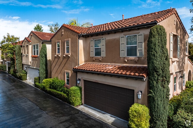 48 Cactus Bloom - Vientos