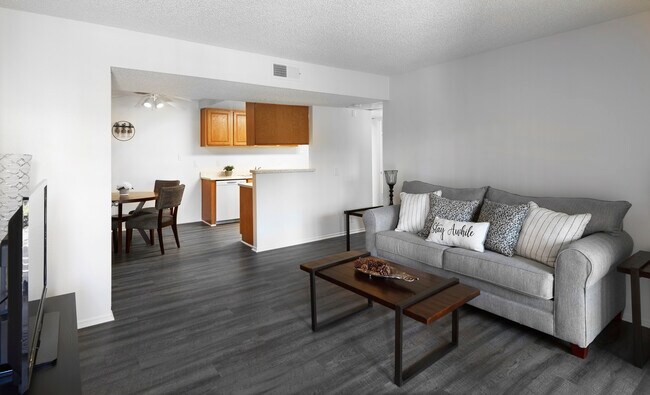 Apartment Living Room