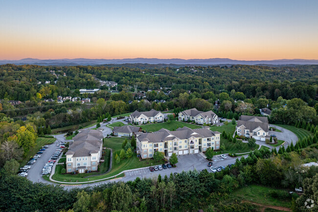 Aerial - The Villas on Wallace Road Rental