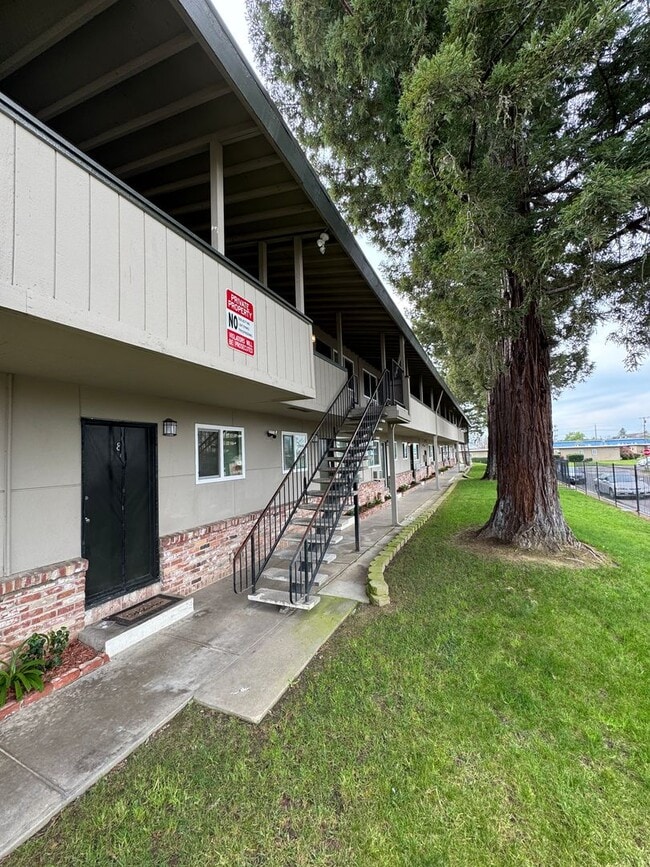 Photo - One Bedroom One Bath Apartment with Patio and Small Yard SEE VIDEO Unidad 3652 Gayle Way Apt 3