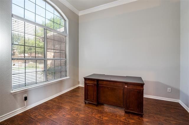 Photo - 11202 Coralberry Dr