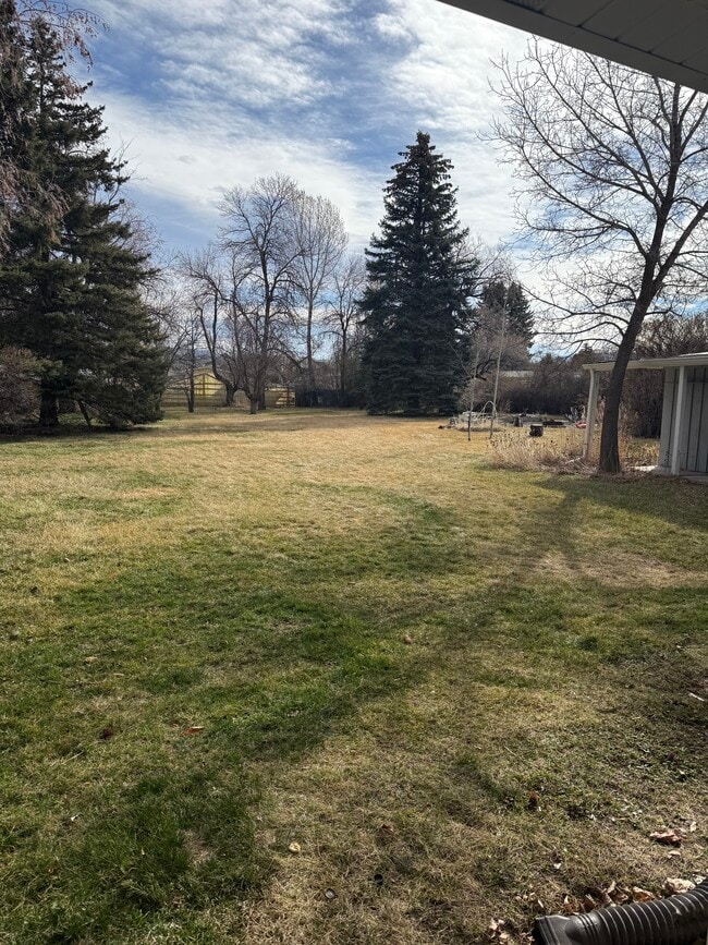 Photo - 704 N 17th Ave